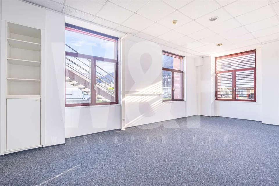 Camorino - großes Büro
