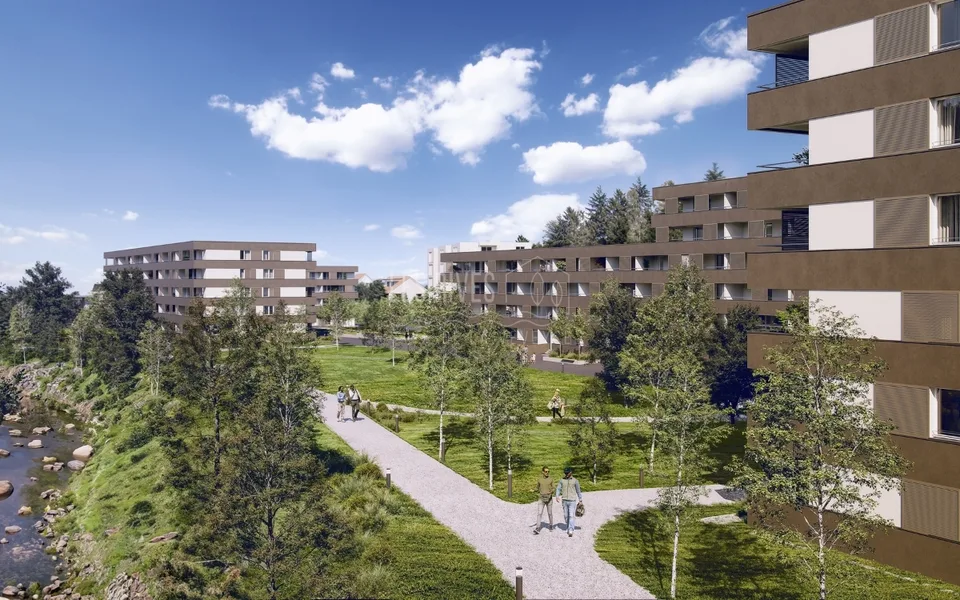 Implantare la tua attività a Châtel-St-Denis in un settore strategico