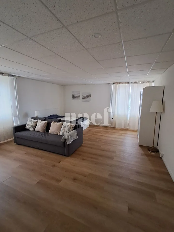 Appartement MEUBLÉ (à choix) de 2 pièces