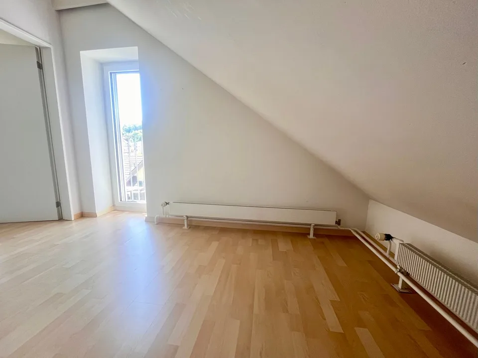 Charmantes Büro mit Seeblick in Wädenswil