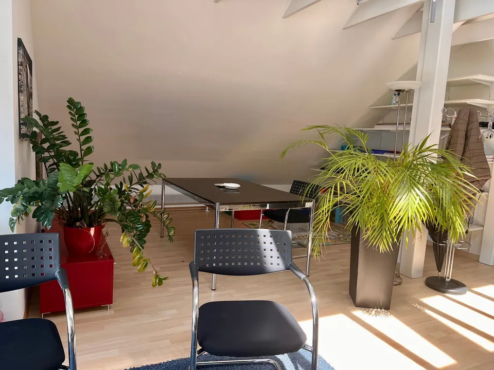 Charmantes Büro mit Seeblick in Wädenswil