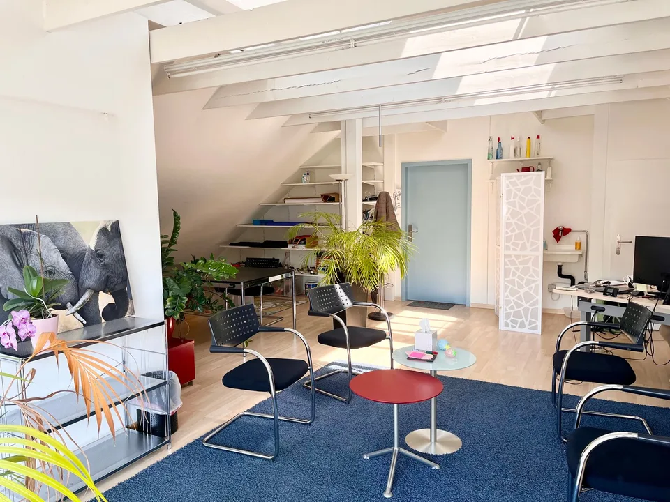 Charmantes Büro mit Seeblick in Wädenswil