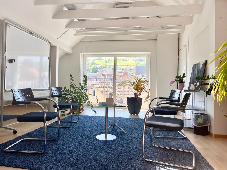 Charmantes Büro mit Seeblick in Wädenswil