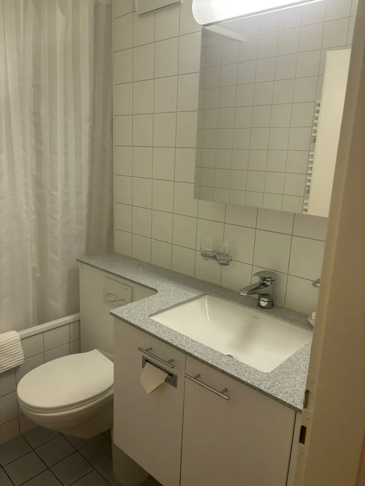 Delizioso appartamento monostanza vicino a Spalentor – foto 6 di 20