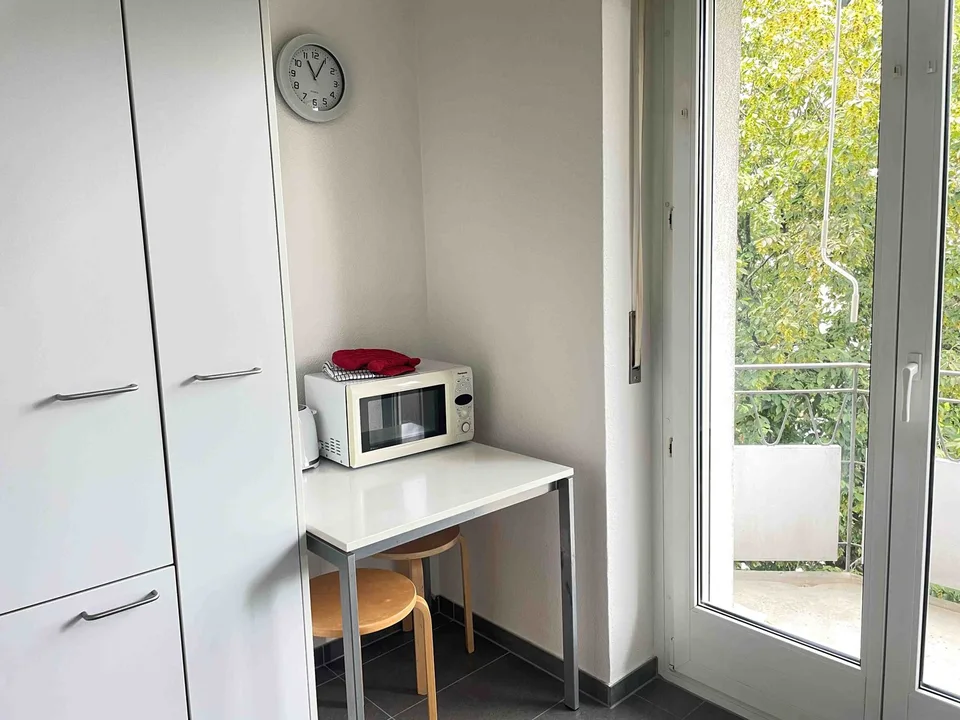 Delizioso appartamento monostanza vicino a Spalentor – foto 17 di 20