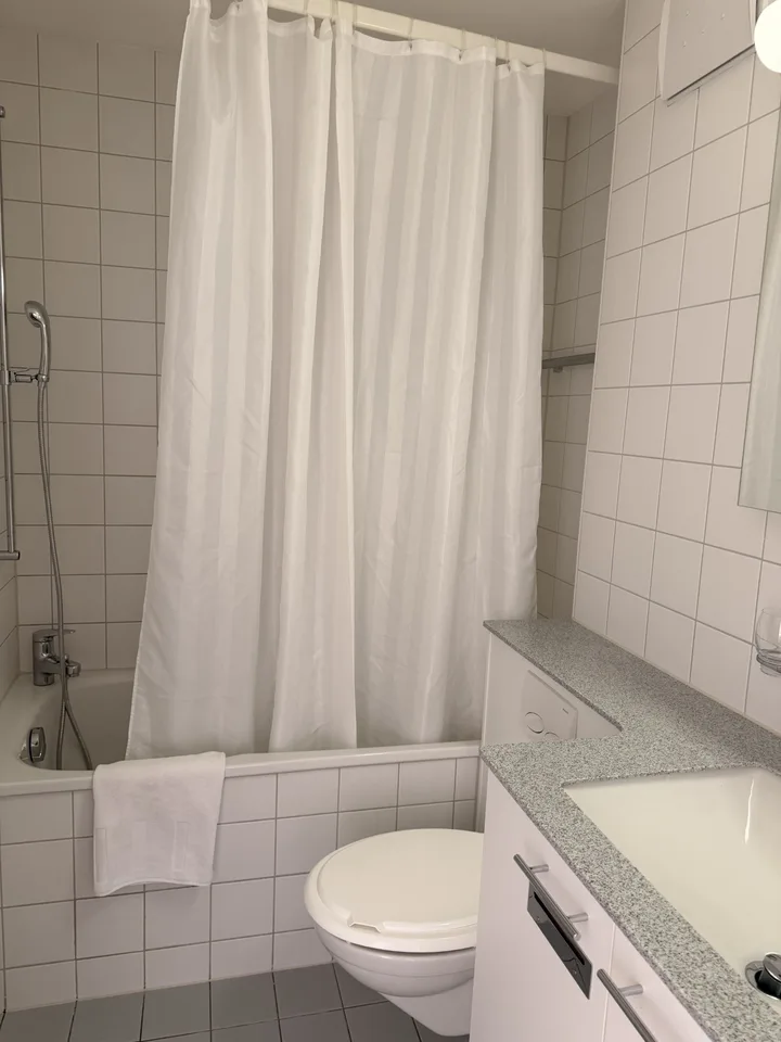 Delizioso appartamento monostanza vicino a Spalentor – foto 8 di 20