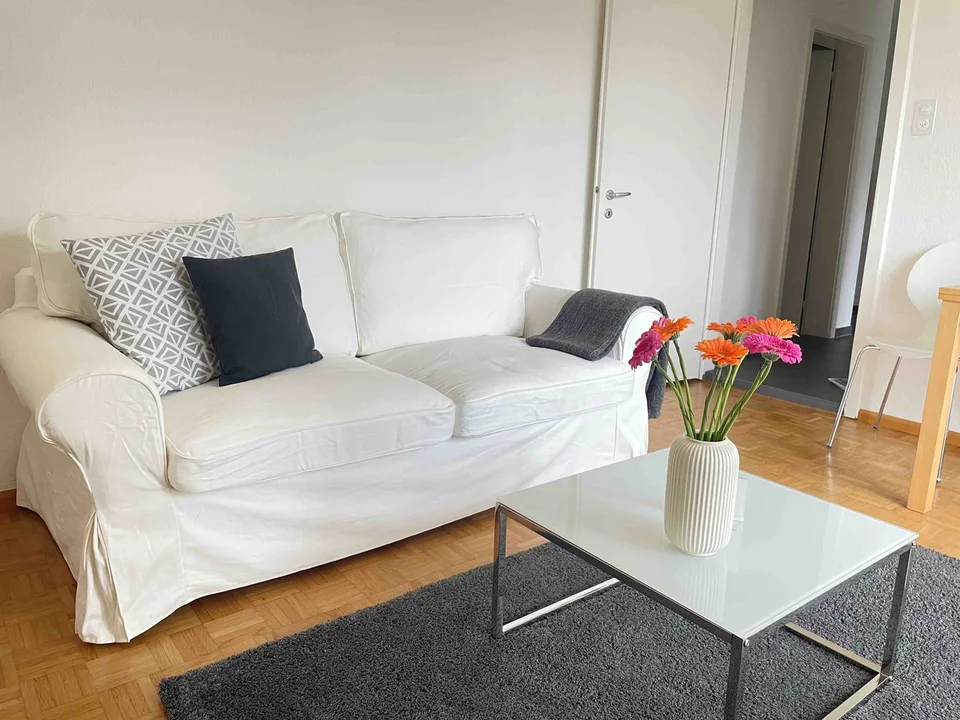 Delizioso appartamento monostanza vicino a Spalentor – foto 10 di 20