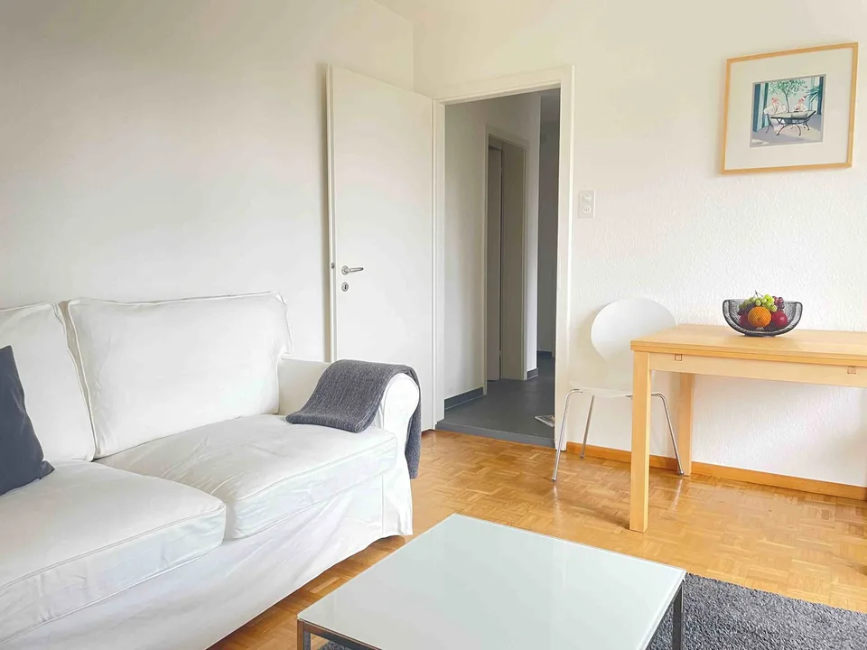 Delizioso appartamento monostanza vicino a Spalentor – foto 12 di 20