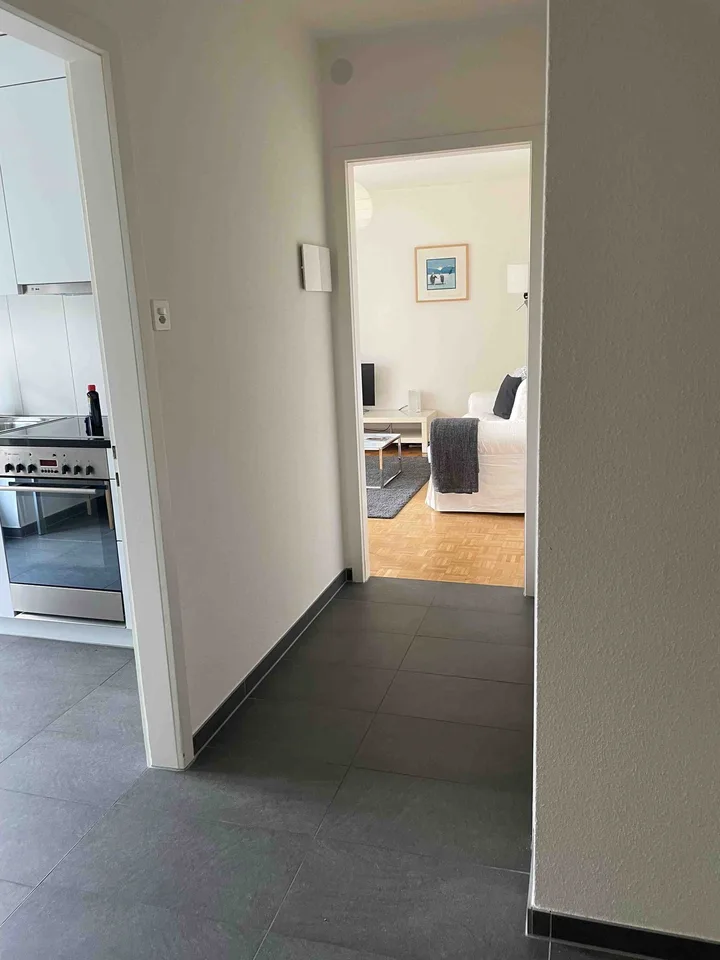 Delizioso appartamento monostanza vicino a Spalentor – foto 18 di 20