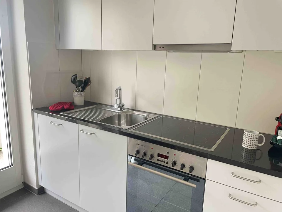 Delizioso appartamento monostanza vicino a Spalentor – foto 16 di 20