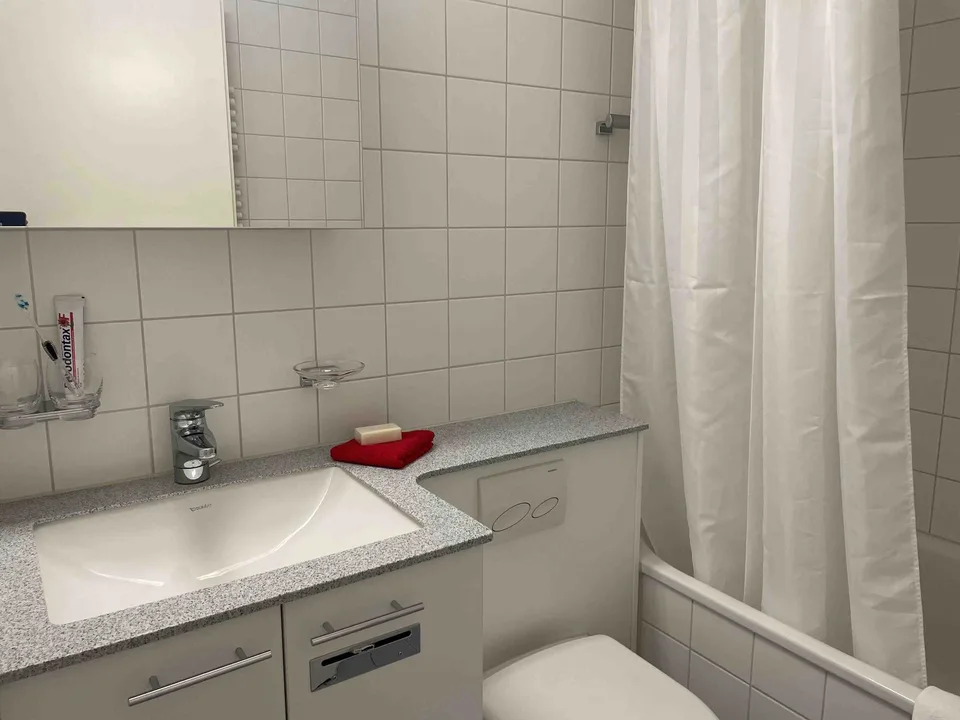 Delizioso appartamento monostanza vicino a Spalentor – foto 19 di 20