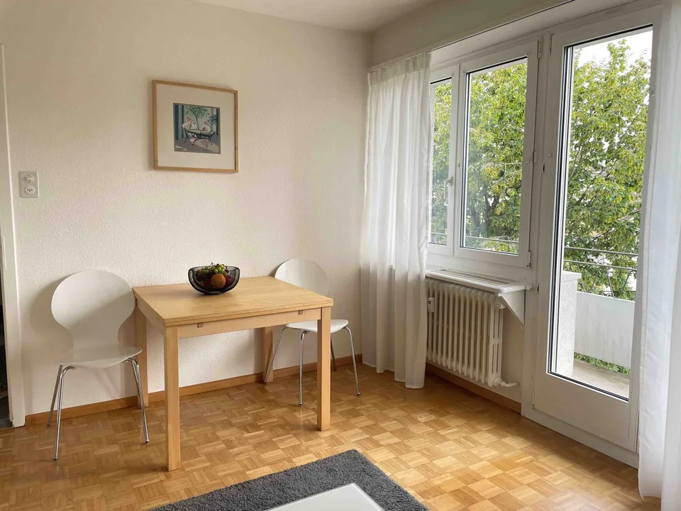 Delizioso appartamento monostanza vicino a Spalentor – foto 13 di 20
