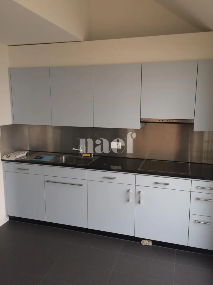 Duplex mit 4,5 Zimmern im 2. Stock