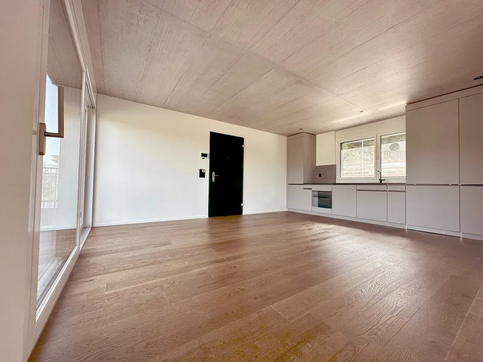 Exklusive 2.5-Zimmerwohnung im schönen Aarau