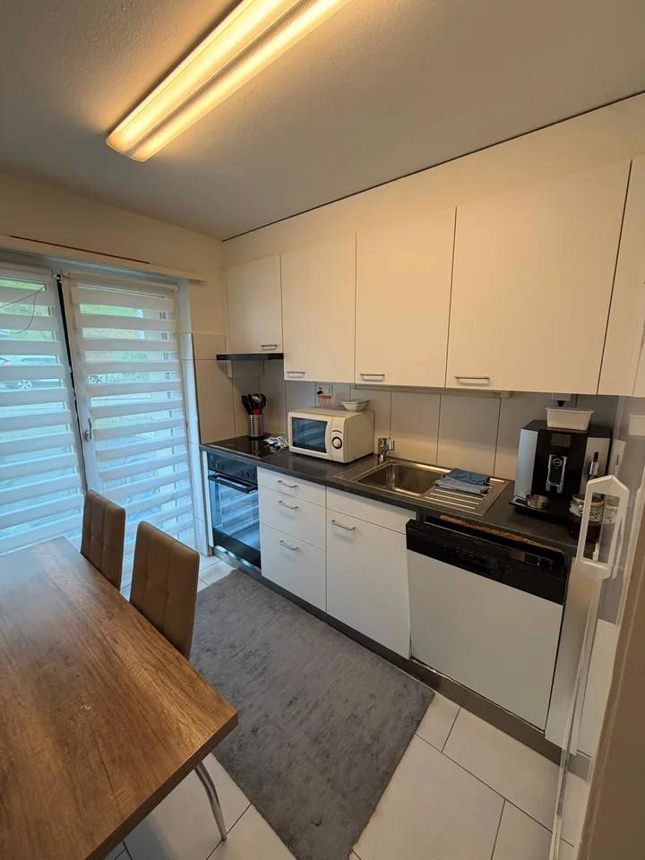 Modern 4-room apartment with two balconies