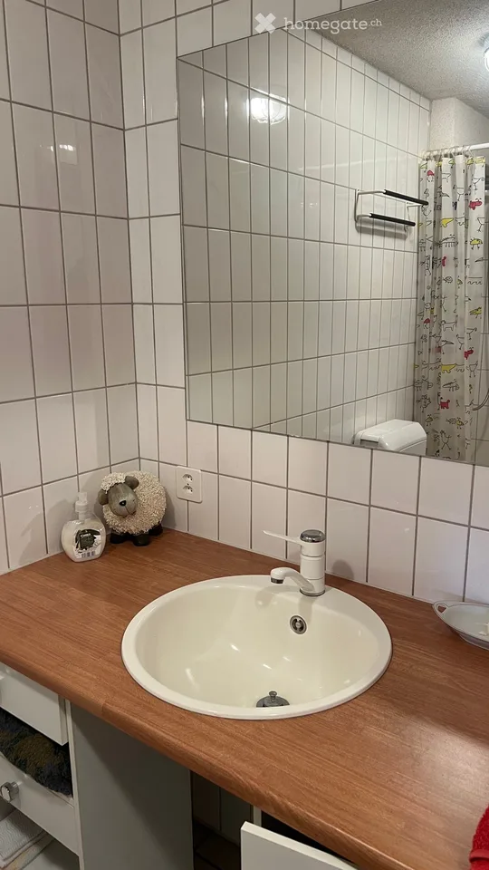 1.5 Ferienwohnung direkt an der Skipiste