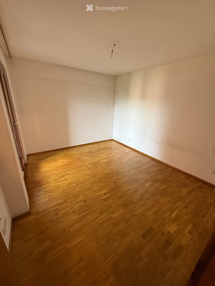 2,5 Zimmer in Massagno