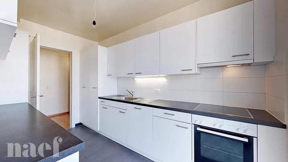 Schönes Duplex in Carouge an der Rue des Caroubiers 15