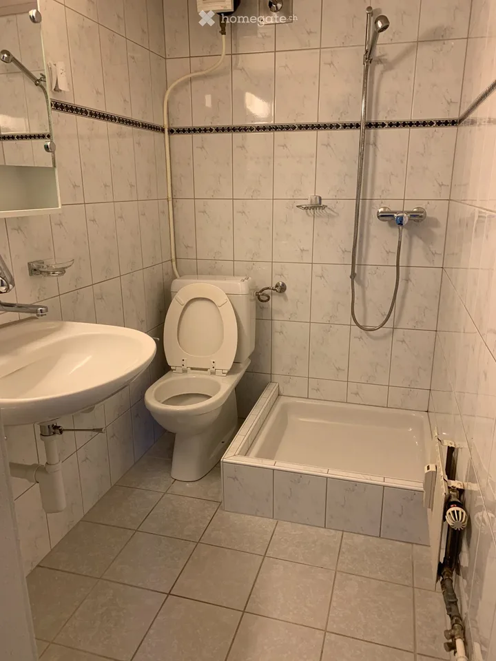 3 1/2 pièces appartement en vieille ville