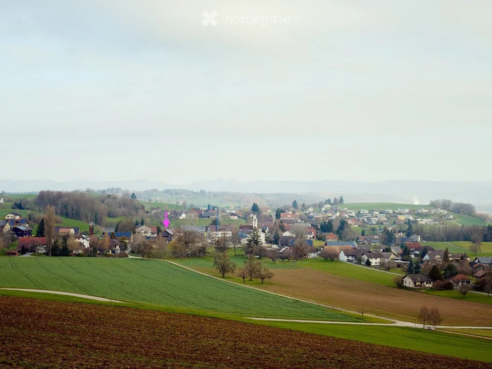 Charmante Haushälfte mit grossem Garten in Leutwil