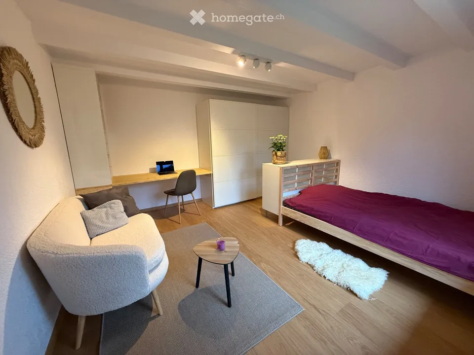 Chambre 16 m² dans villa / contre services auprès danimaux