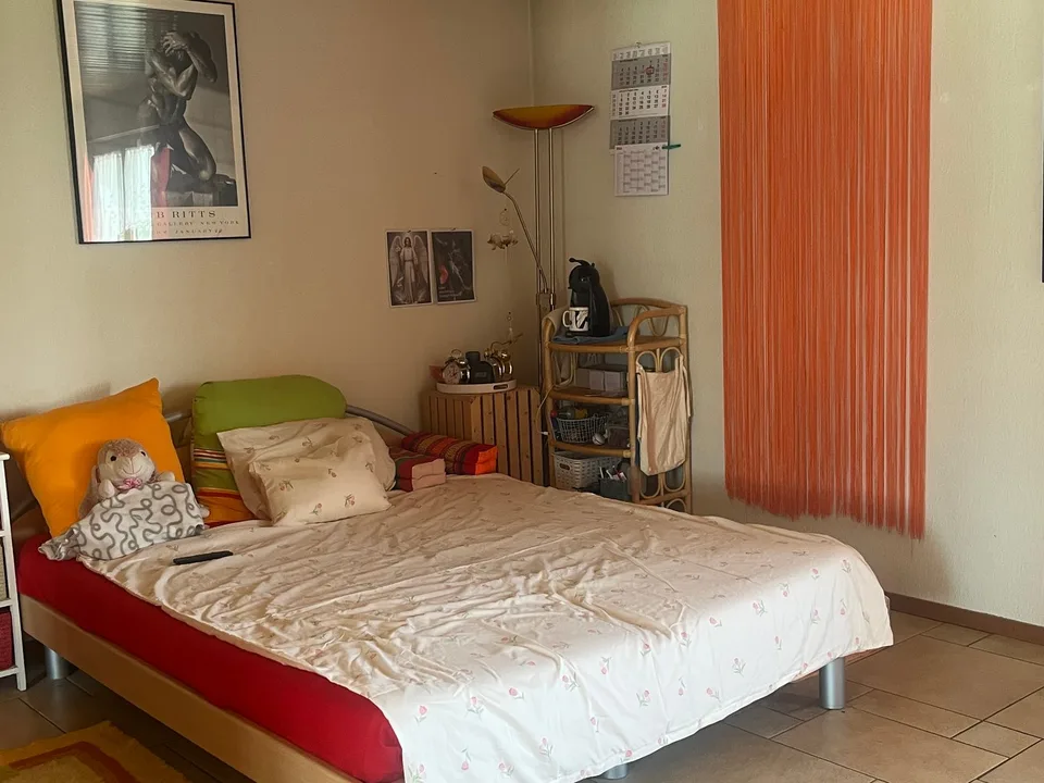 NEUER PREIS! Bezahlbares, grosses 7,5-Zi.DEFH mit Einlegerwohnung für 2-Generationen -ja gärn! – Foto 20 von 27