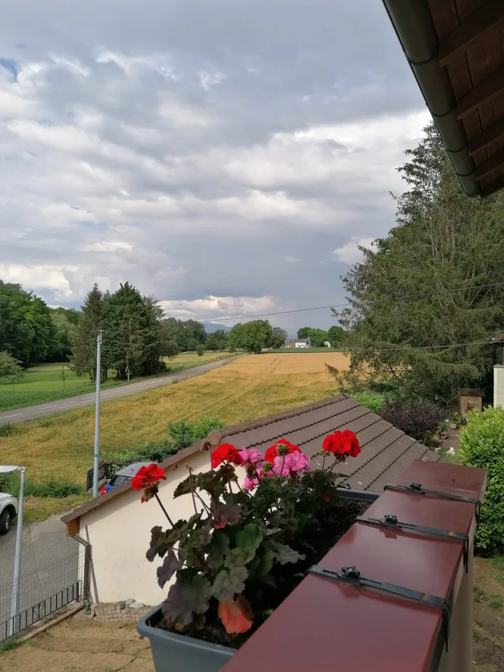 A 500m de Blotzheim à Michelbach-le bas