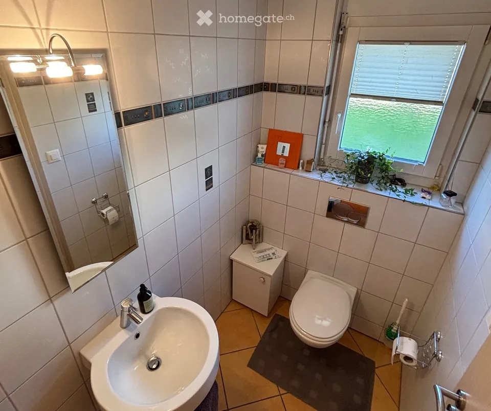 6 ½-Zimmer-Doppeleinfamilienhaus an sonniger, ruhiger Lage