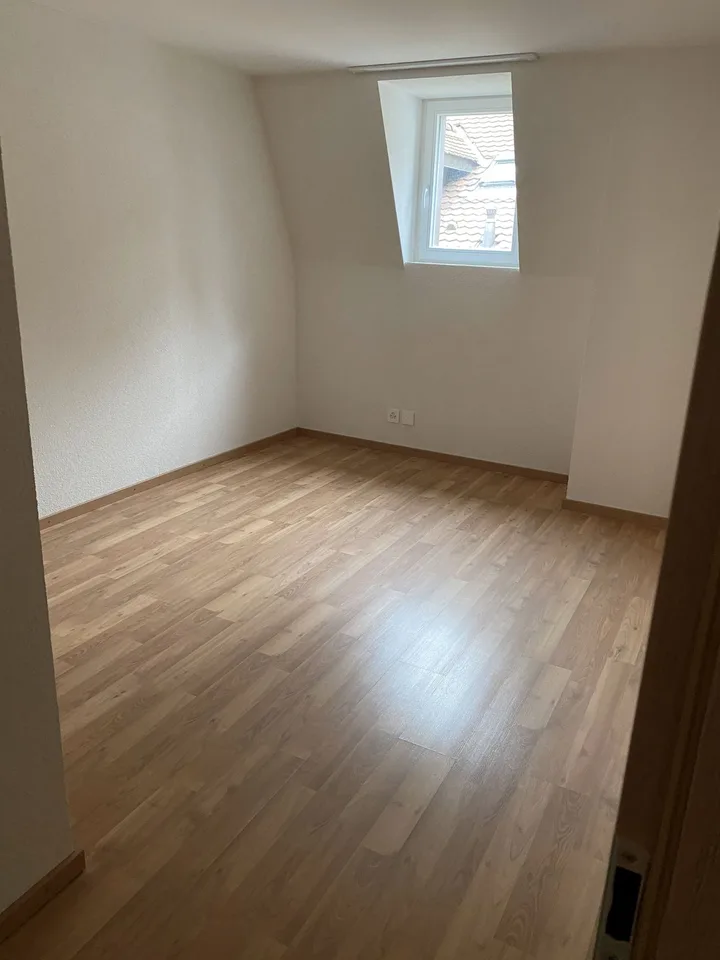 Bello stabile a rendita in perfette condizioni con 12 appartamenti e 1 superficie commerciale affittati – foto 30 di 30