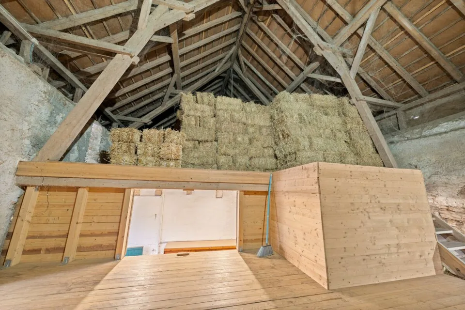 Möchten Sie Wohnungen bauen? Und gleichzeitig in einem renovierten und modernen EFH wohnen? Da sind Sie genau richtig! – Foto 30 von 30