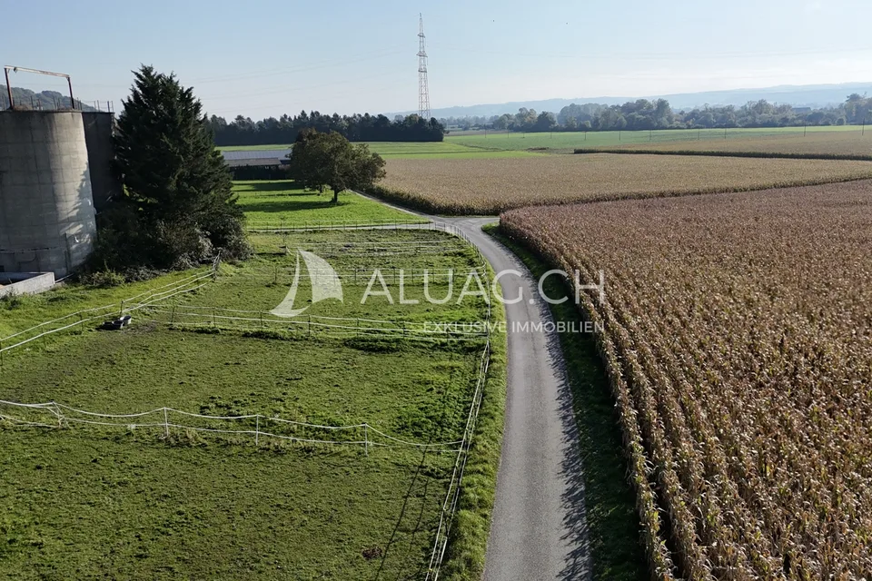 VIELSEITIGER PFERDEHOF MIT ZAHLREICHEN GESTALTUNGSMÖGLICHKEITEN