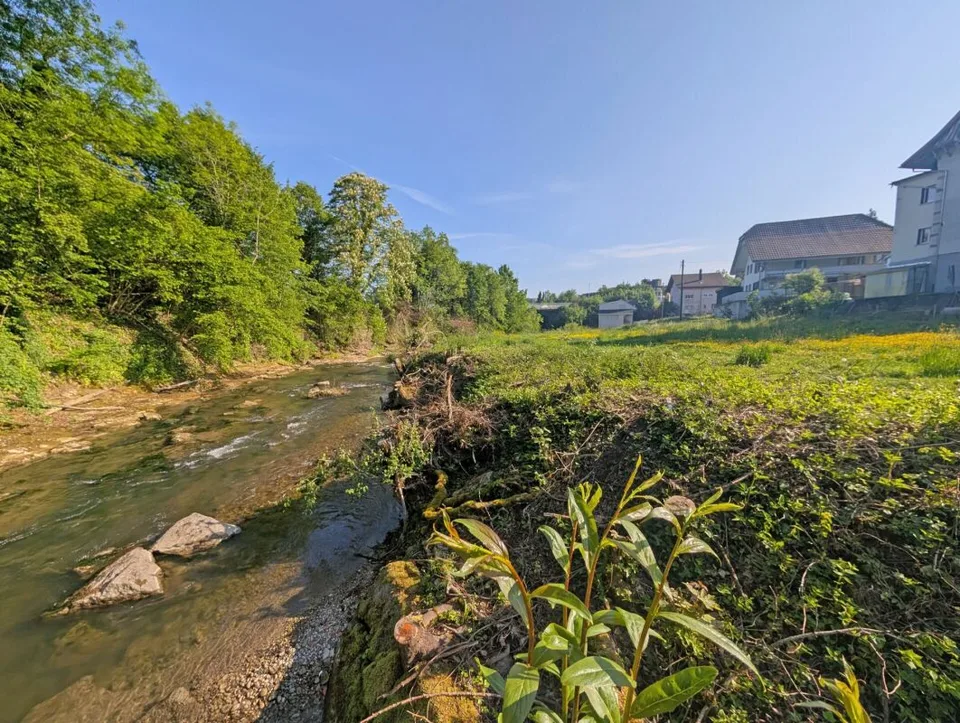 Charmantes Tiny House - Nachhaltig, stilvoll und gemütlich unmittelbar an der Murg