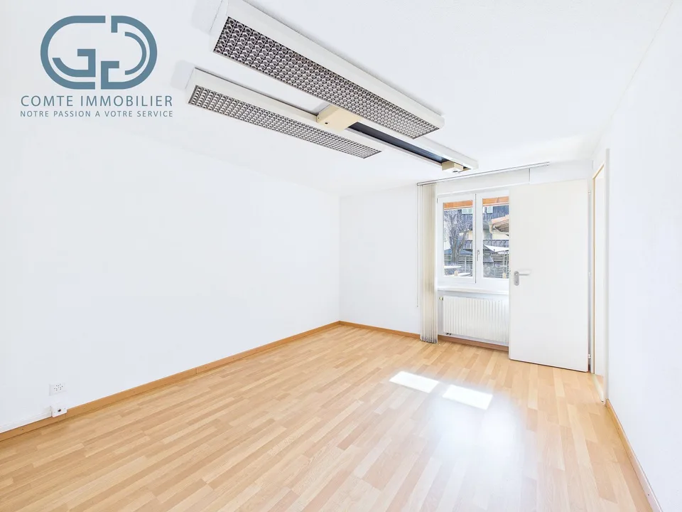 Prächtige Erdgeschosswohnung