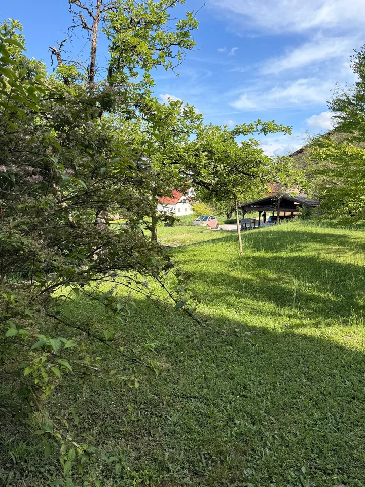 Terrain constructible à Hésingue (68220)