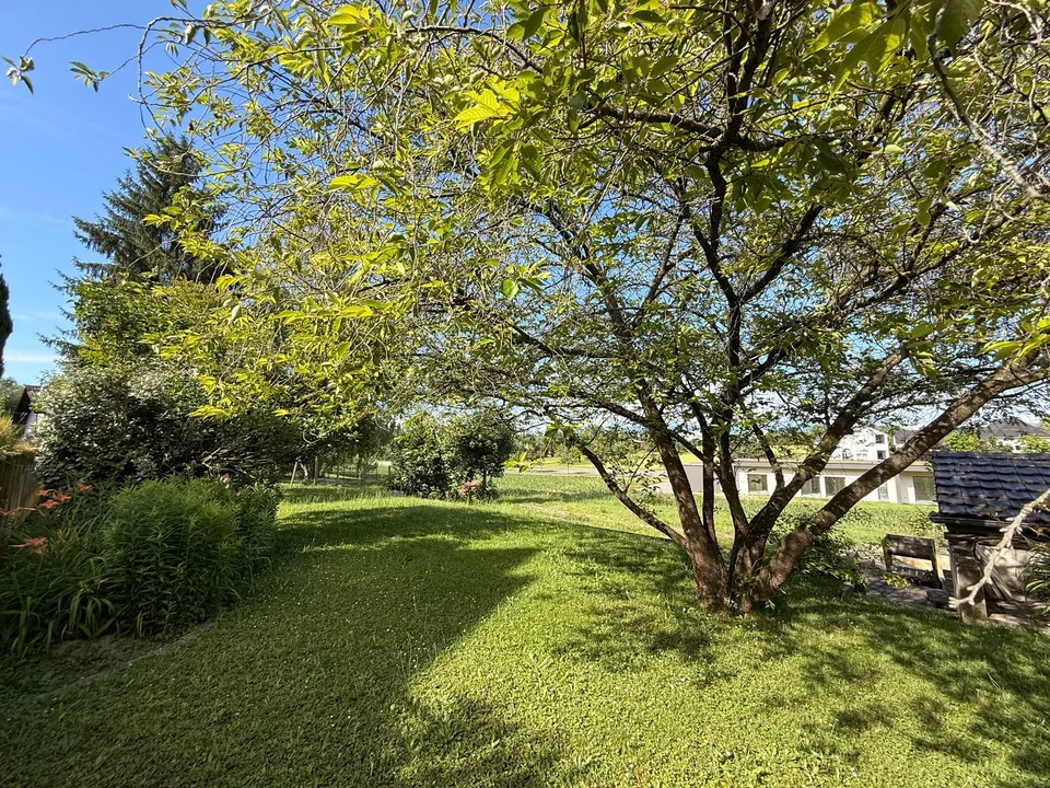 Terrain constructible à Hésingue (68220)