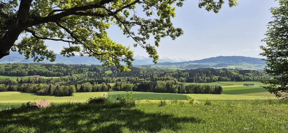 Propriété d'exception avec vue imprenable