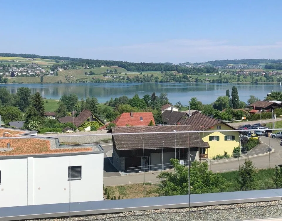 5.5-Zimmer EFH mit Seesicht und Dachterrasse in Boniswil kaufen