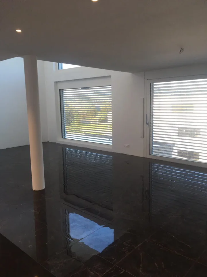 5.5-Zimmer EFH mit Seesicht und Dachterrasse in Boniswil kaufen
