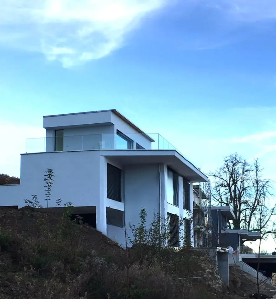 5.5-Zimmer EFH mit Seesicht und Dachterrasse in Boniswil kaufen