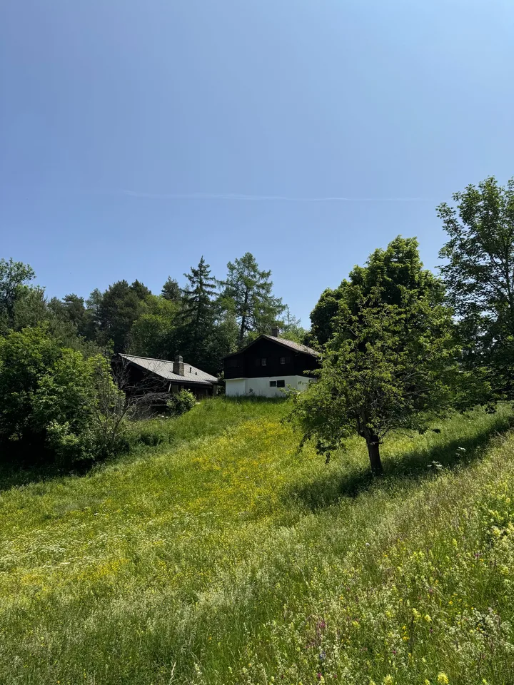 Chalet mit Charme in den Mayens de Chamoson mit Panoramablick auf die Alpen – Foto 9 von 21