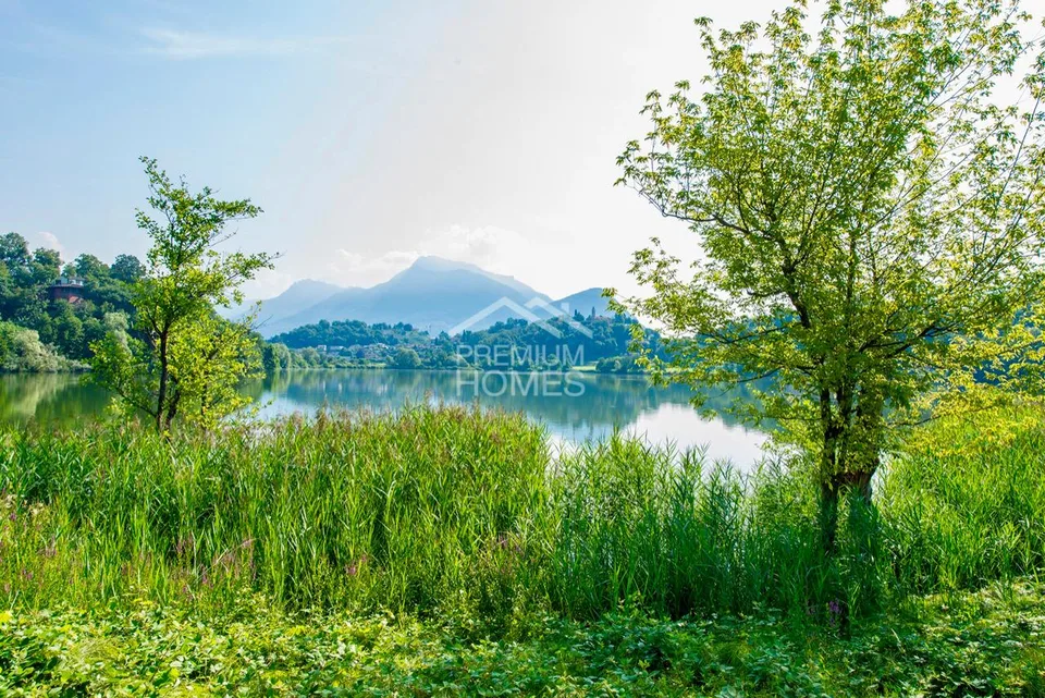 Residenza di prestigio tra parco, bosco, lago e privacy assoluta