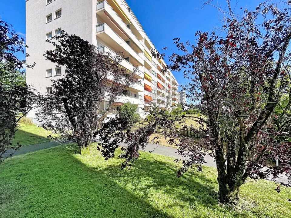 Appartement vue lac & Mont-Blanc
