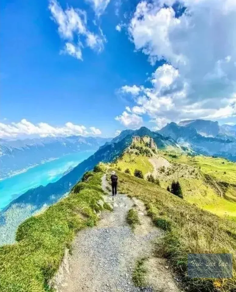 Sublime appartamento di lusso e panoramico a pochi minuti da Gstaad