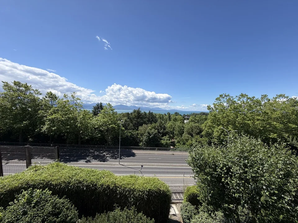 Appartamento di 4.5 locali di circa 126 m2 – foto 8 di 9