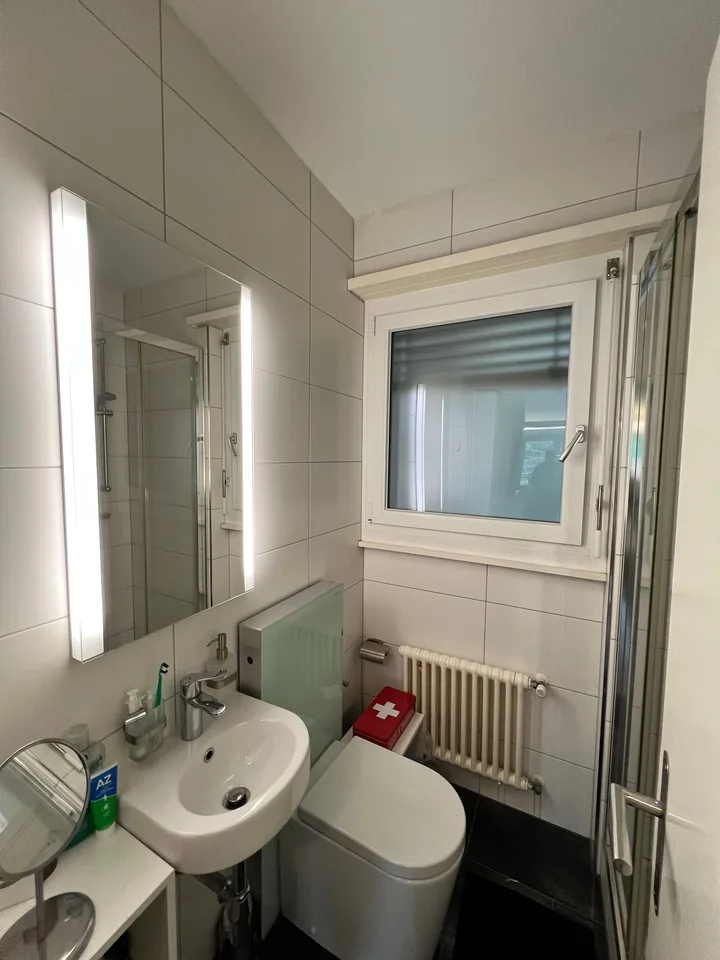 1.5 locali ristrutturato con cucina separata – photo 8 of 10
