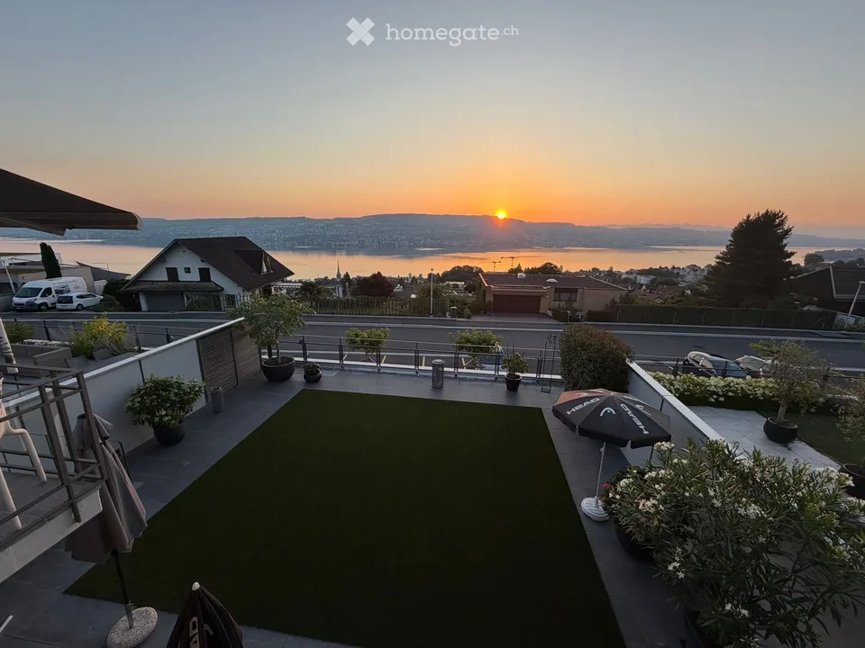 Habiter avec une vue lointaine à Horgen