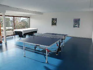 Traumhafte 4.5-Zimmer-Wohnung mit Seeblick in Orselina – foto 13 di 13