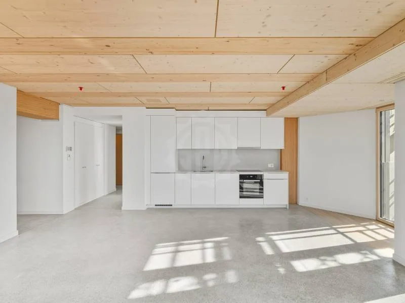 Prächtige Wohnung - Prilly