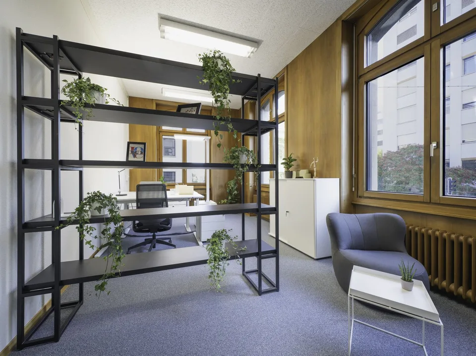 Uffici privati (da 10m2) con tutto compreso a partire da CHF 549 - senza deposito! – foto 11 di 30