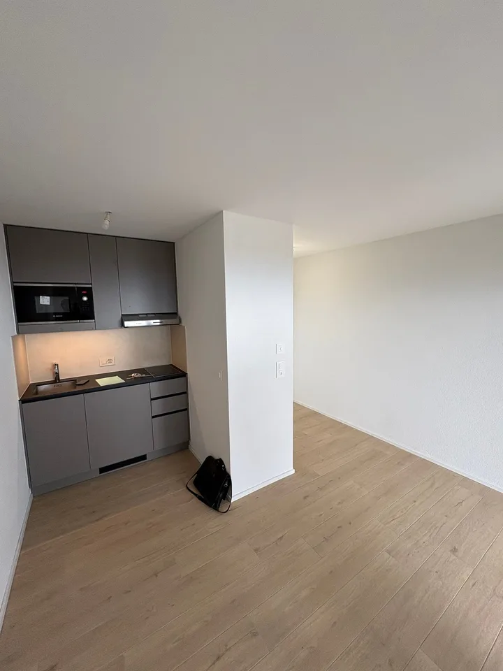 Helles und modernes Studio mit Seeblick